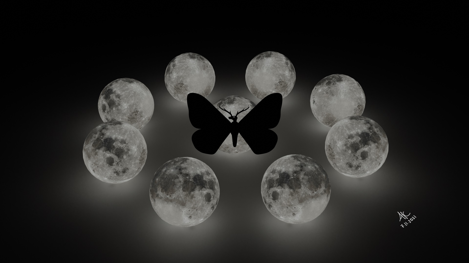 3D Model: Moth Re 11
