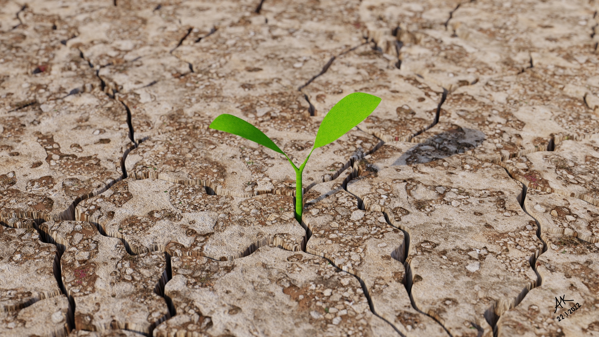 3D Model: Seedling 4